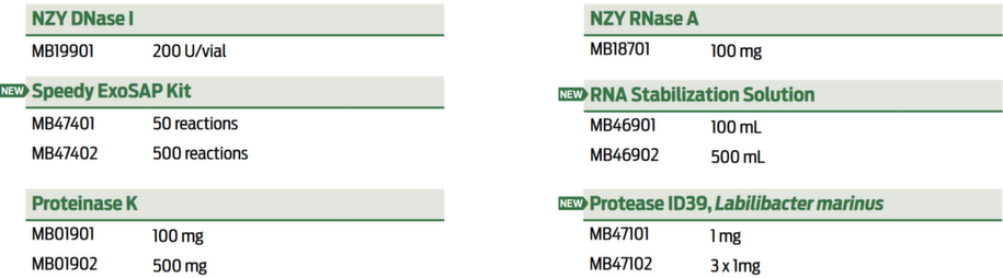 C2024_NZYTech_DNA RNA AufReag.png